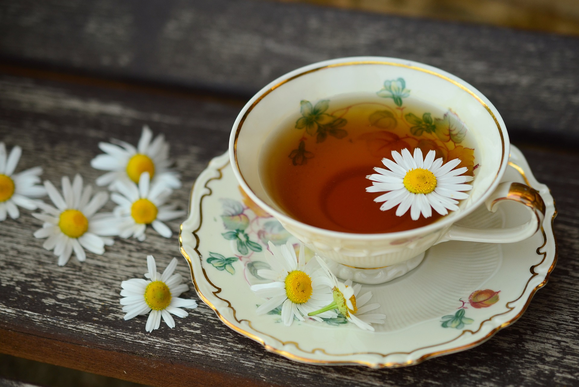 Faut-il privilégier le thé ou les infusions ? On vous explique tout !